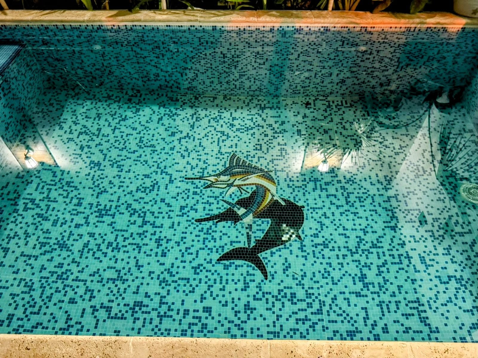 Piscina con pez espada