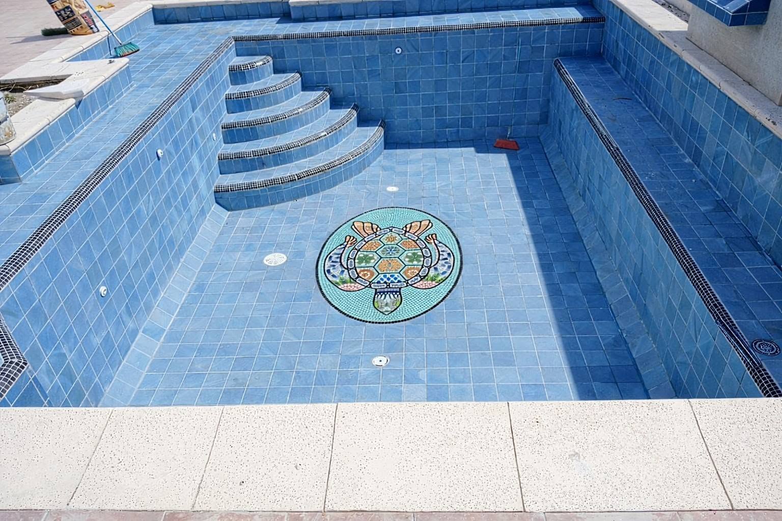Piscina con tortuga